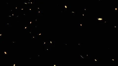 Yellow cosmos falling particles motion graphics Stock Footage 151612744