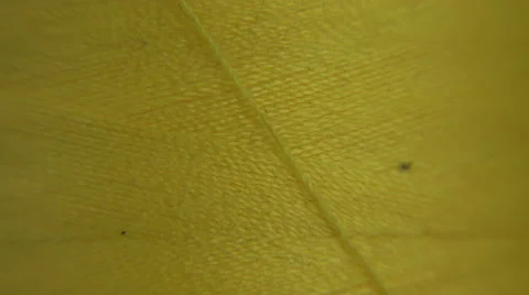 Yellow Cotton Thread Rotating, close up of detail and texture. can play as loop Stock Footage 60951698