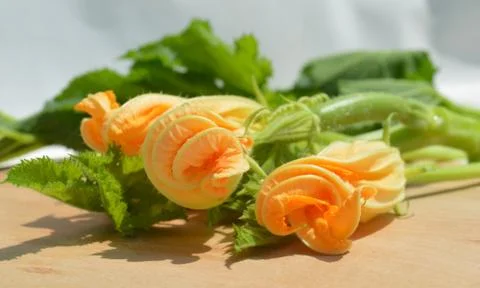 Yellow courgette blossoms Stock Photos