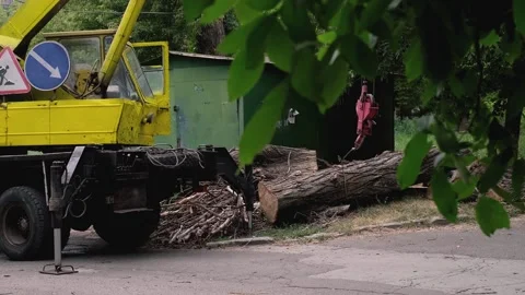 Yellow crane collecting large tree logs, municipal cleanup work after natural di Stock Footage 281576992