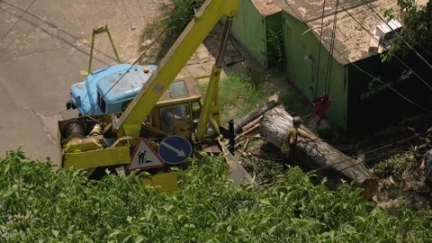 Yellow crane collecting large tree logs, municipal cleanup work after natural di Stock Footage 281576995