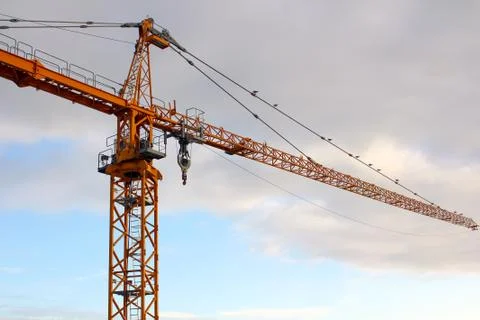 Yellow crane Stock Photos
