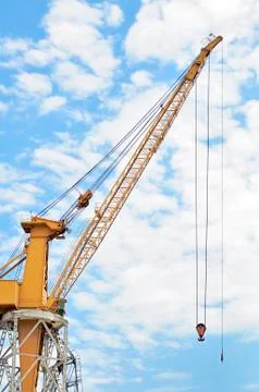 Yellow crane Foto stock