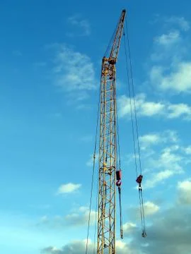 Yellow crane Stock Photos