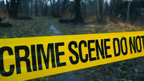 Yellow Crime Scene Tape Blocking a Path in a Gloomy Forest Vídeos de archivo 336651003