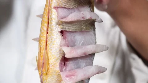 Yellow croaker open back flower knife (3) Stock Footage 202234943