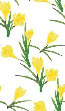 Yellow Crocus Flowers Иллюстрация