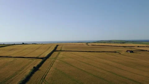 Yellow crop fields create patchwork in rural Ireland, an revealing aerial Video stock 157483182