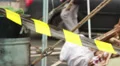 Yellow crossing line people walk background outdoors winter HD Footage
