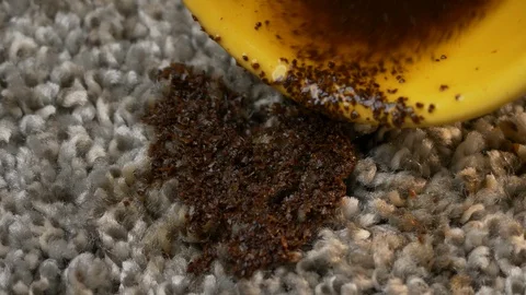 Yellow cup of coffee falling on grey seamless carpet, closeup texture, stain Stock Footage 123066877