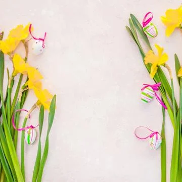 Yellow daffodil and easter eggs on pink background Foto stock