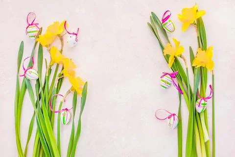 Yellow daffodil and easter eggs on pink background Stock Photos