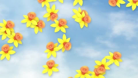Yellow Daffodil Flowers Falling Through a Bright Cloudy Blue Sky Stock Footage 344832112