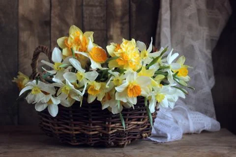 Yellow daffodils in a basket on the table. Foto stock