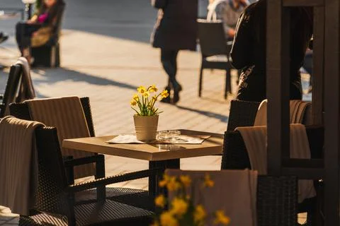 Yellow daffodils in a ceramic pot on the table of a street cafe illuminate Stock Photos