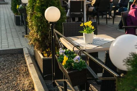 Yellow daffodils in a ceramic pot on the table of street cafe illuminated Stock Photos