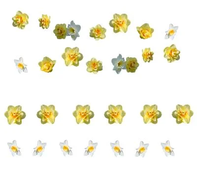 Yellow daffodils design elements Stock Photos