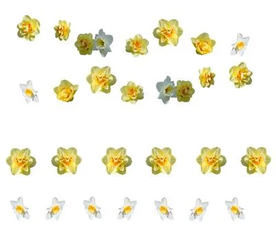 Yellow daffodils design elements Yellow daffodils design elements, margins... Stock Photos