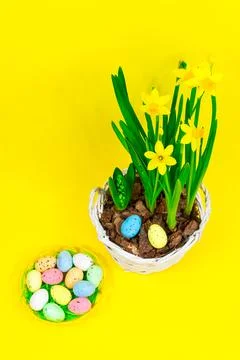 Yellow daffodils with hyacinths in a pot with Easter eggs on a plate on a yellow Stock Photos