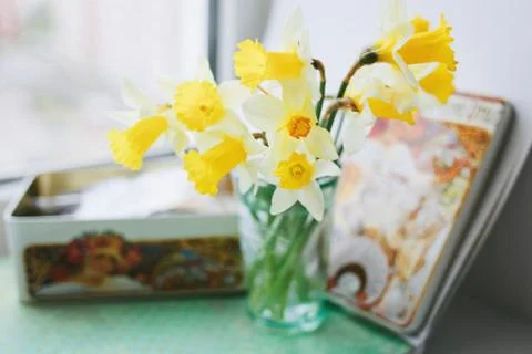 Yellow daffodils Stock Photos