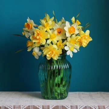 Yellow daffodils Foto stock