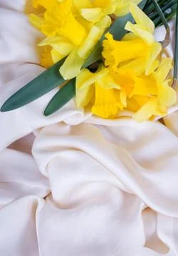 Yellow daffodils in the silk Foto stock