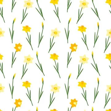 Yellow daffodils on a white background. Daffodils are spring flowers Stock Illustration