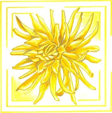 Yellow dahlia in a frame. Stock Illustration