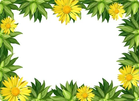 Yellow daisy flower border Stock Illustration