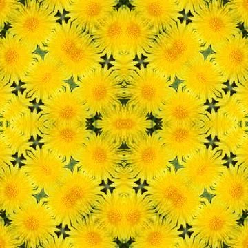 Yellow dandelion background, generated kaleidoscopically, seamless Stock Illustration