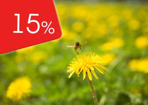 Yellow dandelion flower from which a bee takes off Stock Illustration