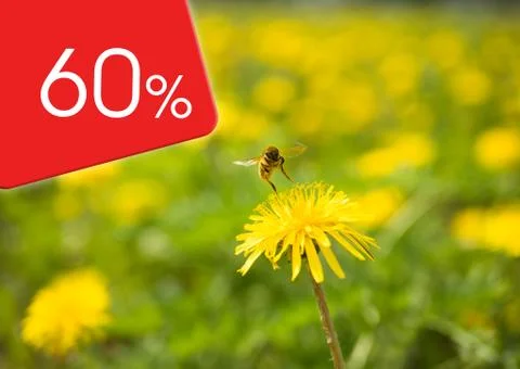 Yellow dandelion flower from which a bee takes off Stock Illustration