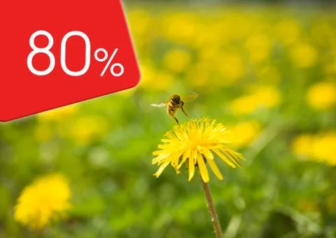 Yellow dandelion flower from which a bee takes off Stock Illustration