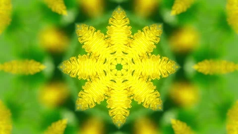 Yellow dandelion in kaleidoscopic flower pattern. Stock Footage 270939463