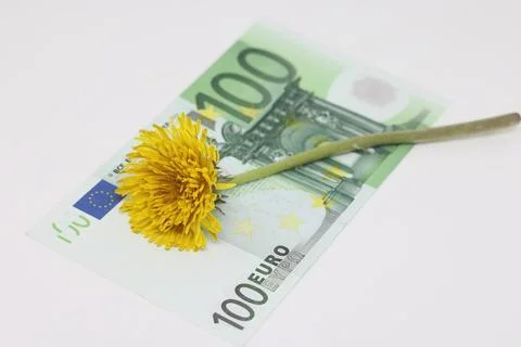 Yellow dandelion lies on a banknote close-up, financial plans in the spring. Stock Photos