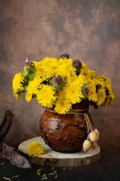 Yellow dandelions in a rustic clay pot resting on a vintage white wooden box. Stock Photos