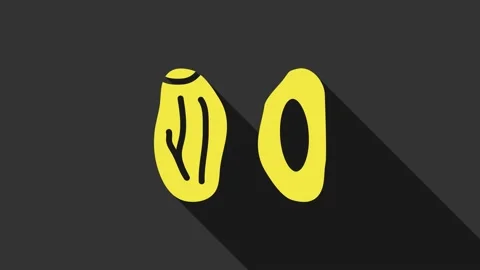 Yellow Date fruit icon isolated on grey background. 4K Video motion graphic Stock Footage 155147285