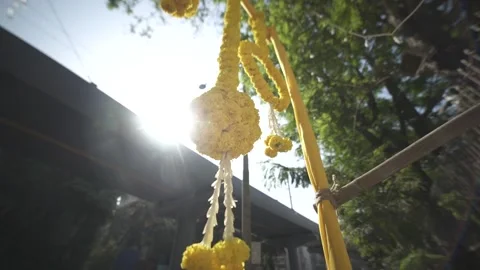 Yellow Decor Stock Footage 247262299