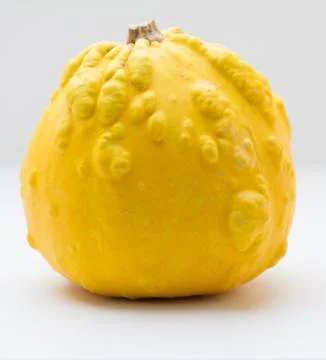 Yellow decorative pumpkin closeup Stock Photos