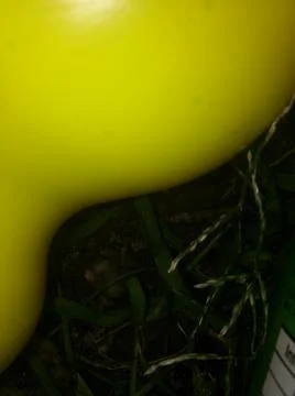 Yellow different background with different elements and objects Stock Photos