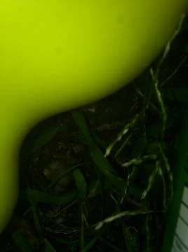 Yellow different background with different elements and objects Stock Photos