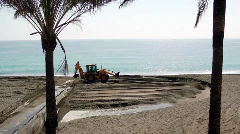 Yellow digger moving sand on beach palm trees sea Stock Footage 48473947