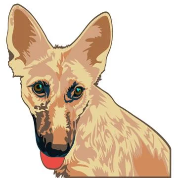 Yellow dog shepherd Stock Illustration