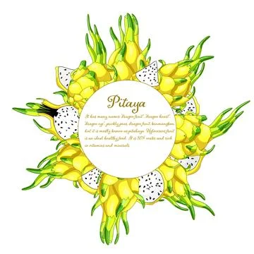 Yellow dragon fruit circle frame Stock Illustration