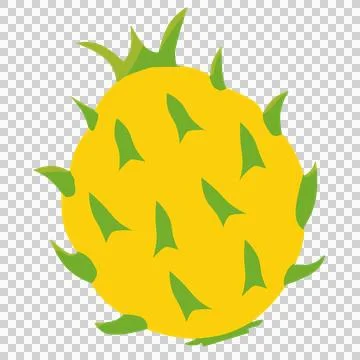 Yellow dragon fruit イラスト素材