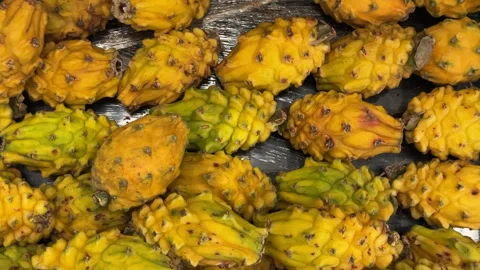 Yellow Dragon Fruit Piled in Bulk Produce Display Stock Footage 337982684
