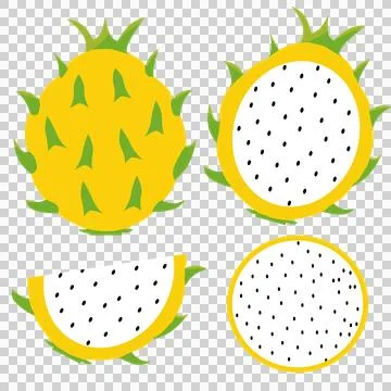 Yellow dragon fruit set summer fruit Stock Illustration