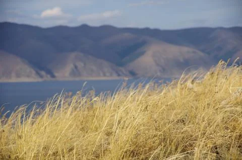 Yellow dry grass. Lake Sevan and mountain range at background. Near Sevanavan Foto stock
