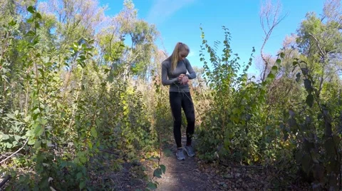 Yellow dry leaves on the trees. Video stock 56314508