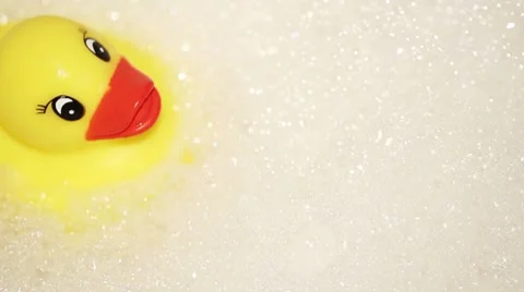 Yellow Duck in the bathroom Stock Footage 7906169